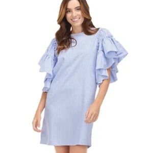 Mud Pie Blue Striped Ruffle Sleeve Mini Dress